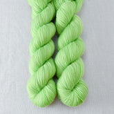 Wild Keet - Miss Babs Yummy 2-Ply superwash Merino wool yarn
