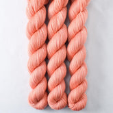 Wild Tulip - Miss Babs Yowza Mini superwash Merino wool yarn