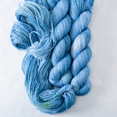 Wonderland - Miss Babs Estrellita fingering weight superwash merino and Lurex yarn