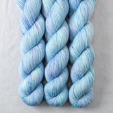 World in a Book - Miss Babs Estrellita fingering weight superwash merino and Lurex yarn