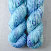 World in a Book - Miss Babs Yowza superwash Merino wool yarn