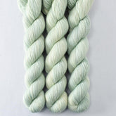 Zone Out - Miss Babs Katahdin 437 superwash BFL wool yarn