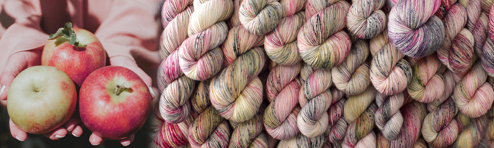 Apple Season - Rhinebeck 2020