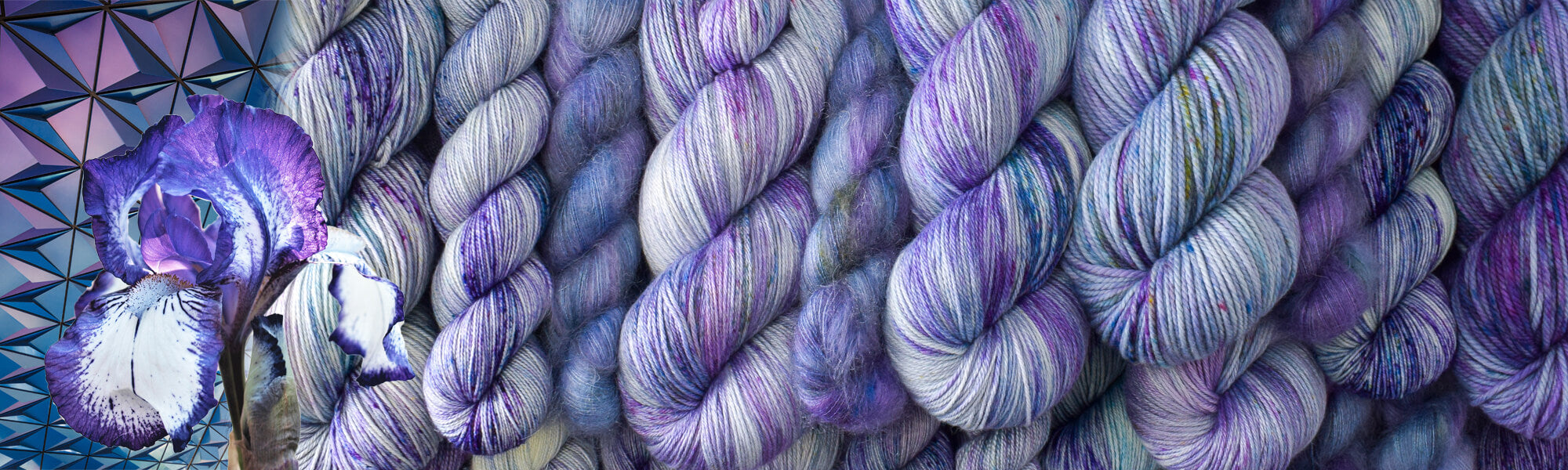 Virtual Iris - Rhinebeck 2020