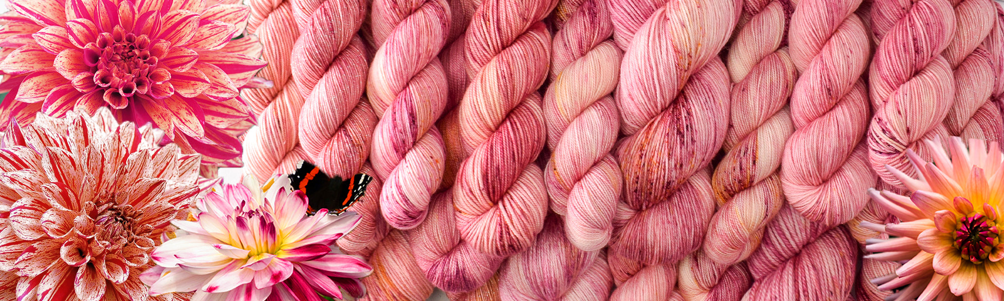 Last of the Dahlias - Rhinebeck 2021