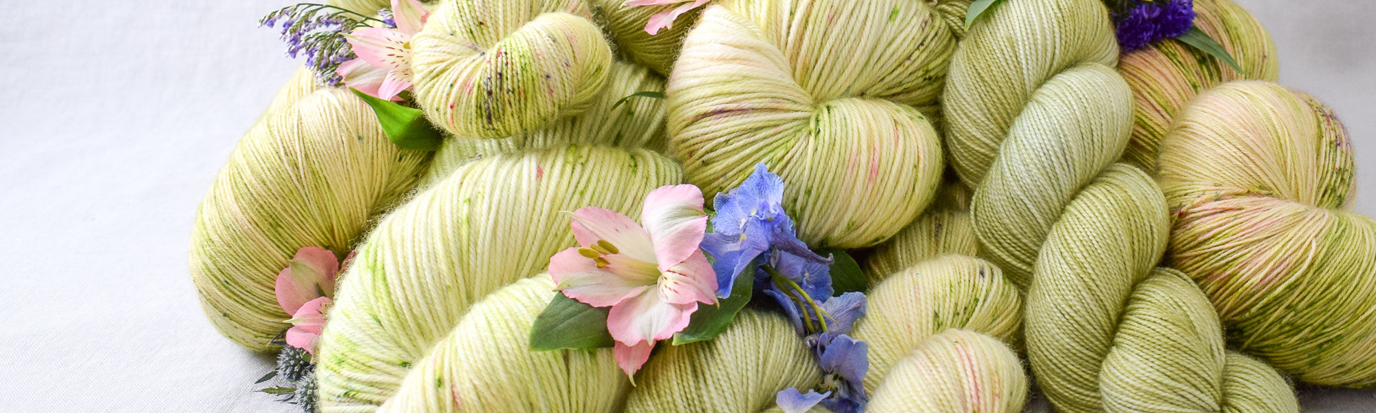 Wandflower