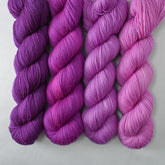 Dark Scorpio, Violaceous, Archway, and Ergosphere - Yummy 2-Ply Quartet