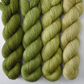 Terrapin Station, Diamondback, Fiddlehead, and Poplar  - Yummy 2-Ply Quartet