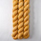 Amber Wing - Miss Babs Sojourn yarn