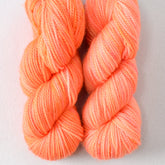 Ambrosia - Miss Babs Yummy 2-Ply Toes superwash Merino wool yarn