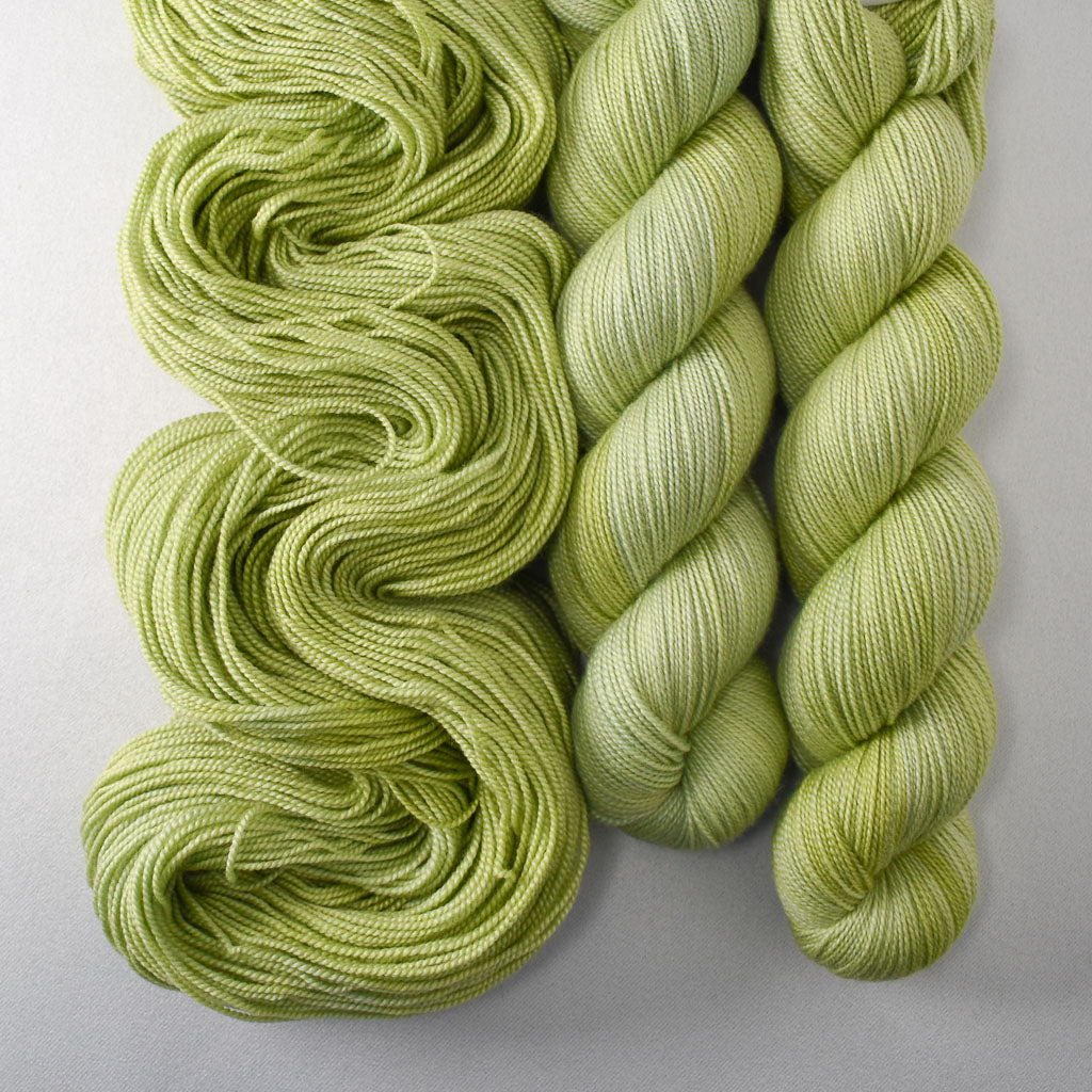 Archie - Miss Babs Avon yarn