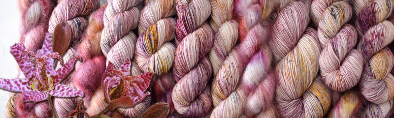 Autumn Toad Lily - SAFF 2020