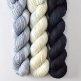 Baird's Whale, Next Chapter, and Nebula - Miss Babs Yummy 2-Ply Trio