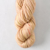 Barnegat - Miss Babs Yummy 2-Ply Toes superwash Merino wool yarn