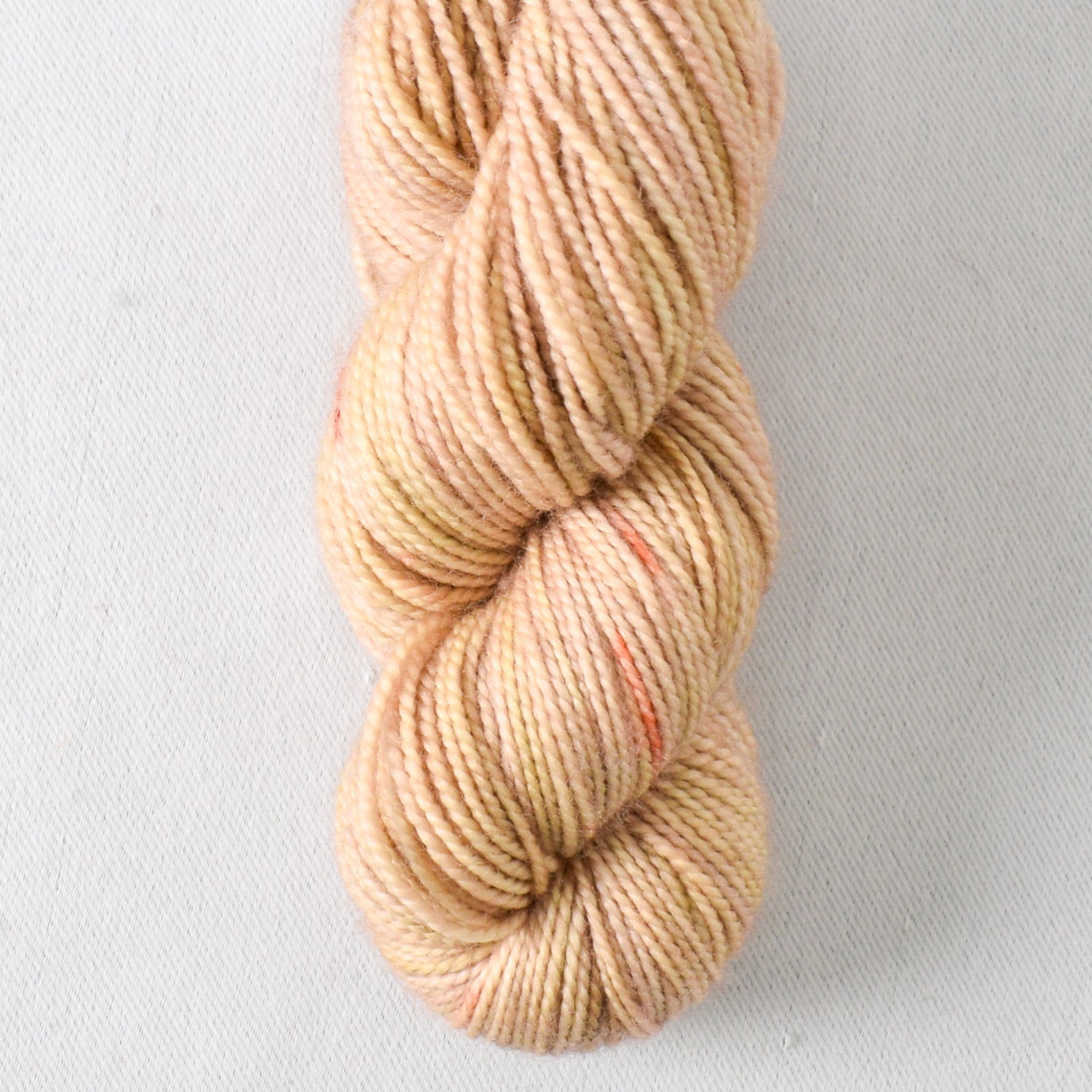 Barnegat - Miss Babs Yummy 2-Ply Toes superwash Merino wool yarn