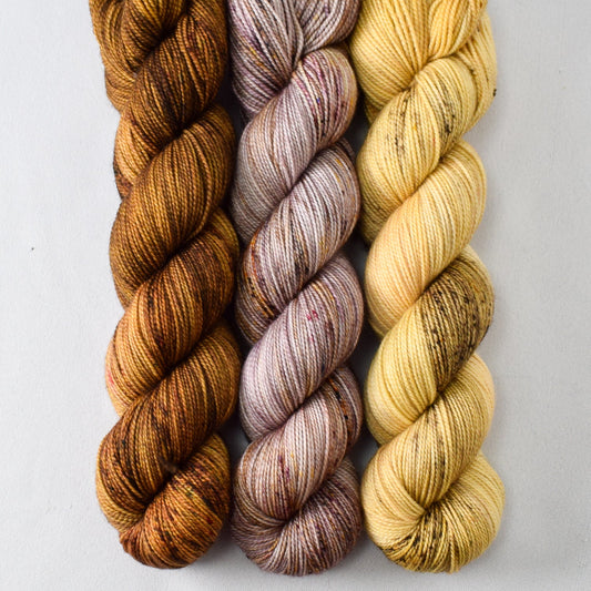 Barn Owl, Autumn Toad Lily, and Alder - Miss Babs Yummy 2-Ply Trio