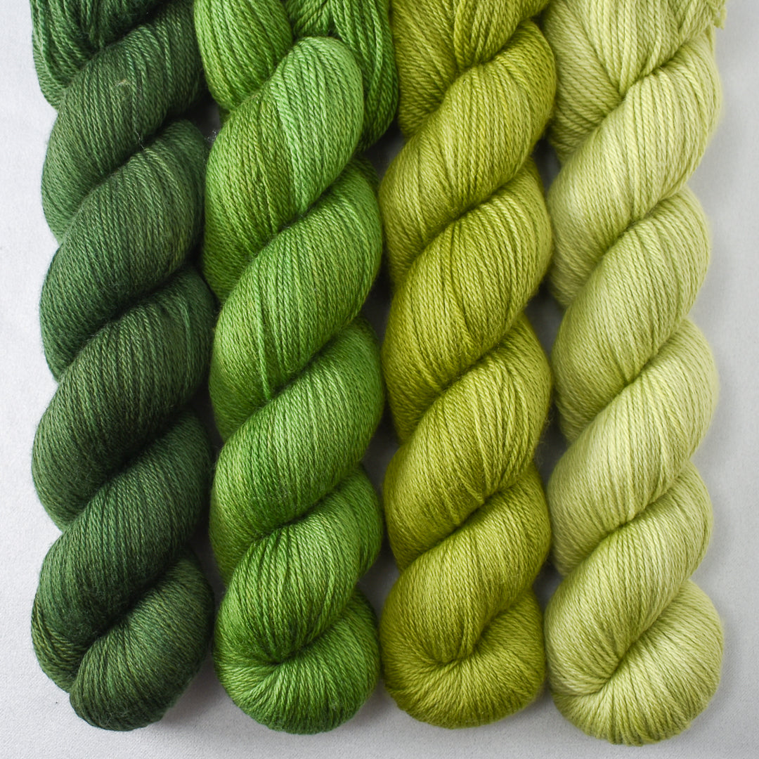 Beanstalk, Boxwood, Hops, and Iantha - Miss Babs Caroline Quartet