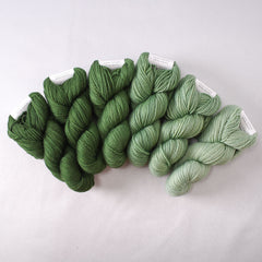 Beanstalk - Gradient Set