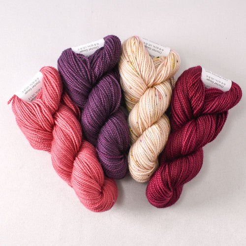 Bearberry, Tulipa, Sparkling Sand, and Night Owl Rose - Miss Babs Toe Quartet