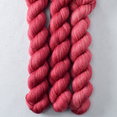 Bearberry - Miss Babs Katahdin 437 superwash BFL wool yarn