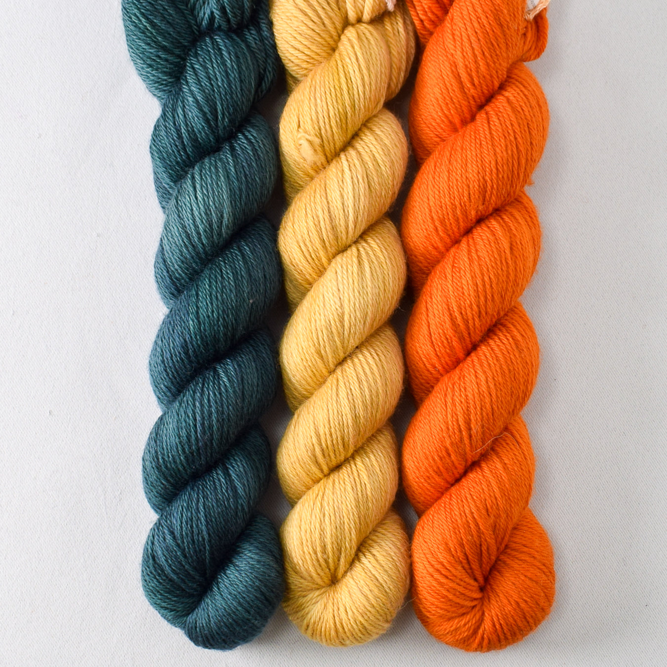 Blackwatch, Billy Button, and French Marigold - Miss Babs Yowza Mini Trio