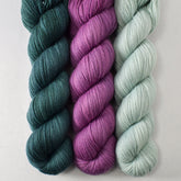 Blackwatch, Frasquita,and Palm Valley - Miss Babs Caroline Trio