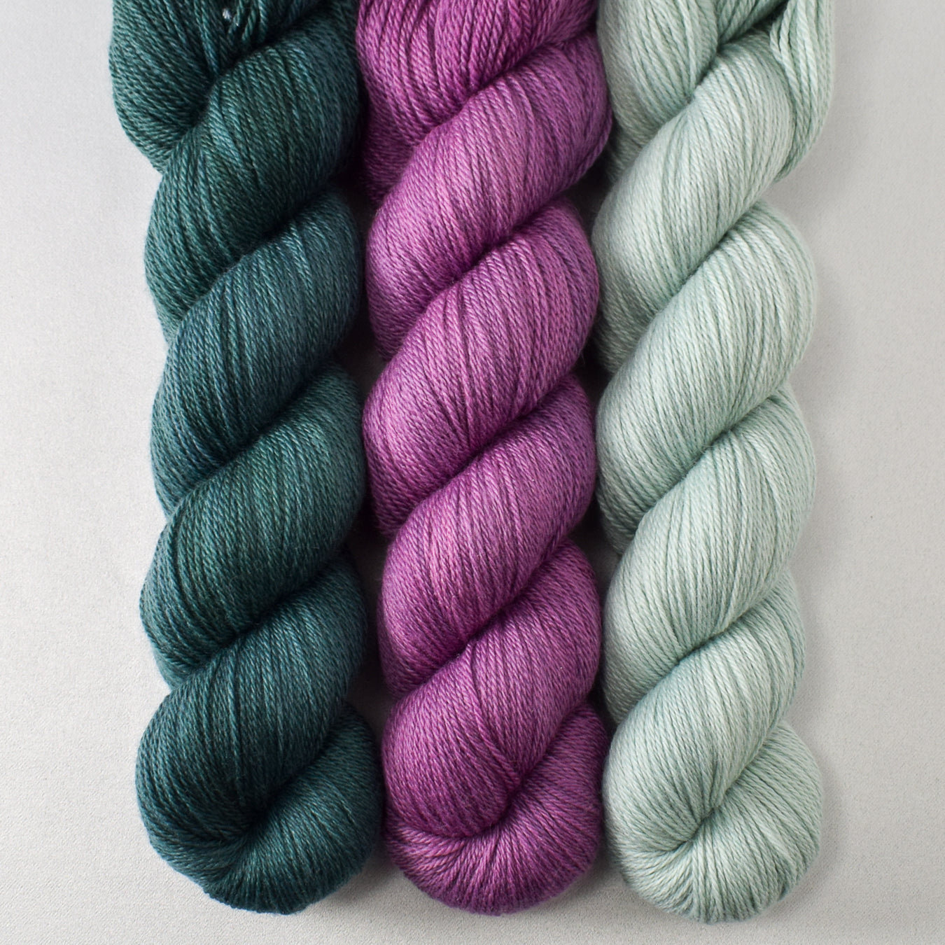 Blackwatch, Frasquita,and Palm Valley - Miss Babs Caroline Trio