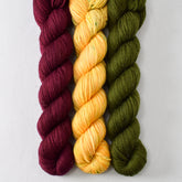 Bloodstone, Snow Crocus, and Dark Terrapin Station - Miss Babs Yowza Mini Trio