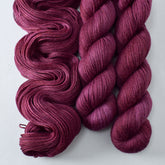 Bloodstone - Miss Babs Tarte wool blend sock yarn