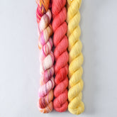 Bloomin' Pansies, Coral, and Sunny - Miss Babs Sojourn Trio