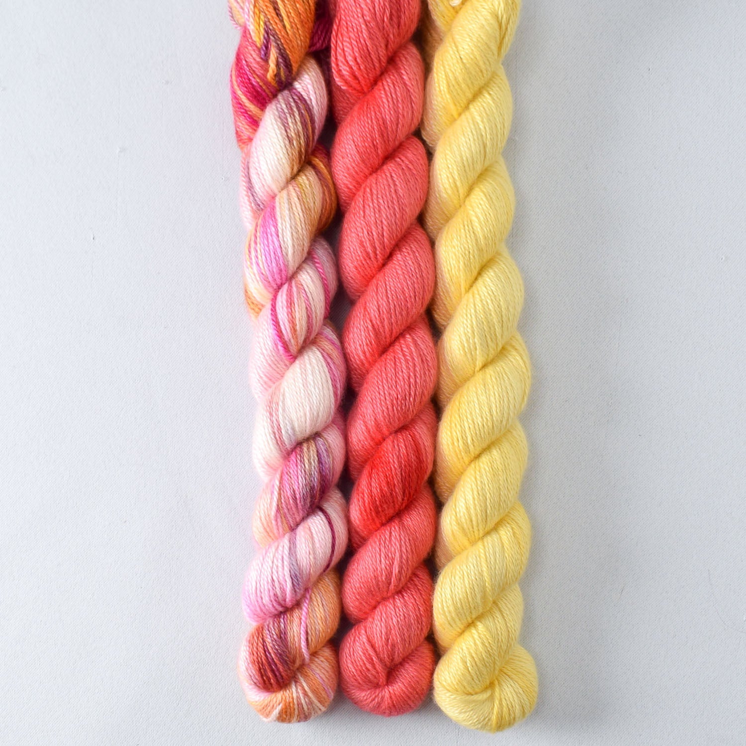 Bloomin' Pansies, Coral, and Sunny - Miss Babs Sojourn Trio