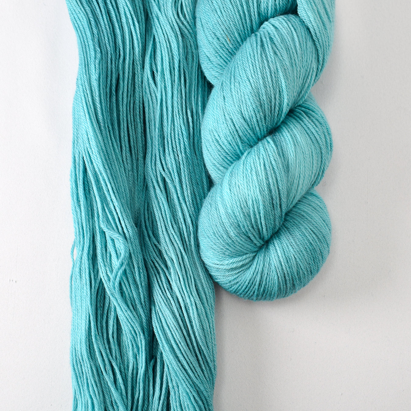 Blue Parakeet - Miss Babs Yowza superwash Merino wool yarn
