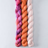 Bodacious, Carnelian, and Sugar - Miss Babs Sojourn Trio