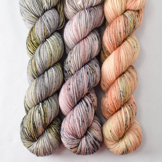 Boot Scootin', Muddled Thoughts, and Rosy Finch - Yummy 2-Ply Trio - Babette