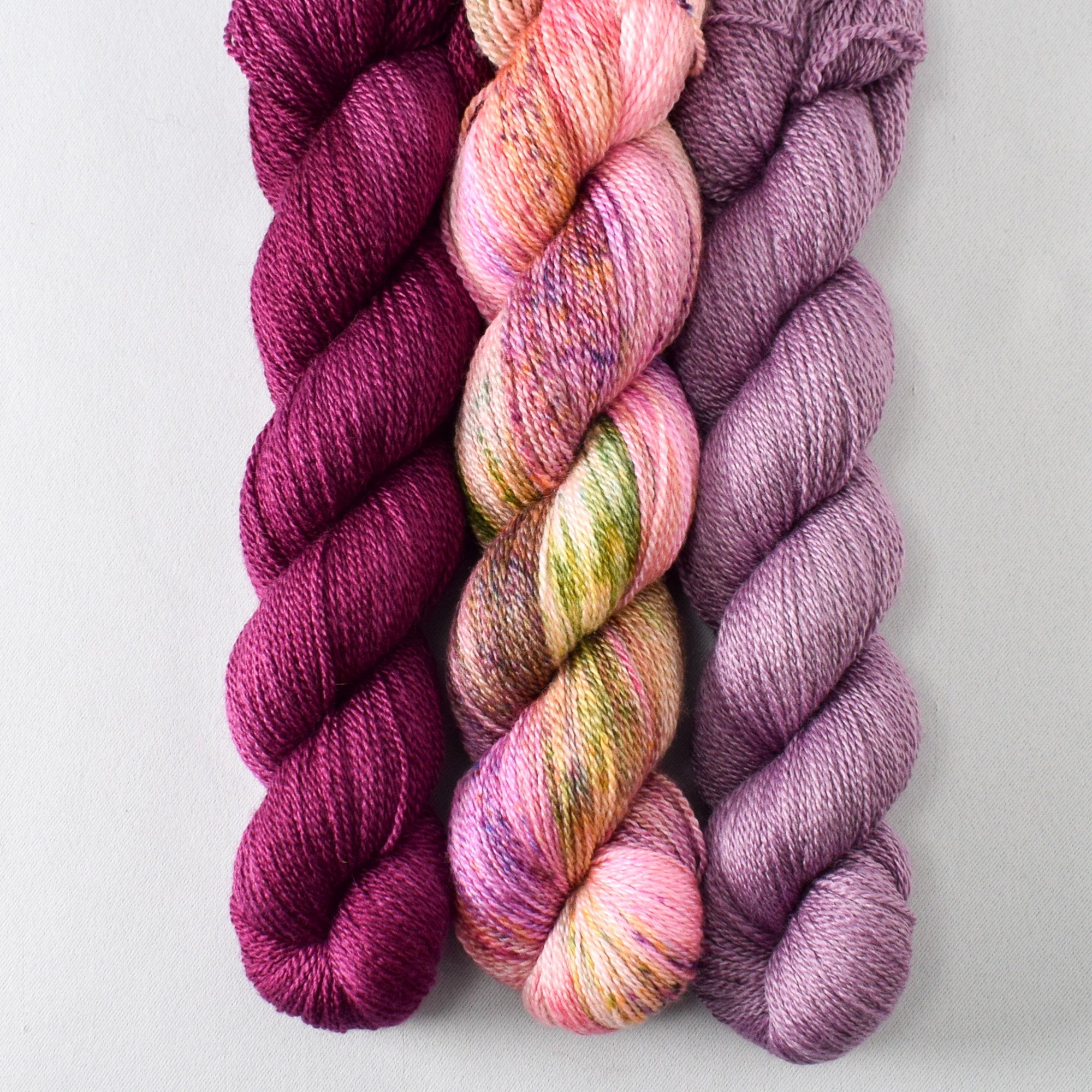 Bougainvillea, Flower Boxes and Fig - Miss Babs Yet Trio