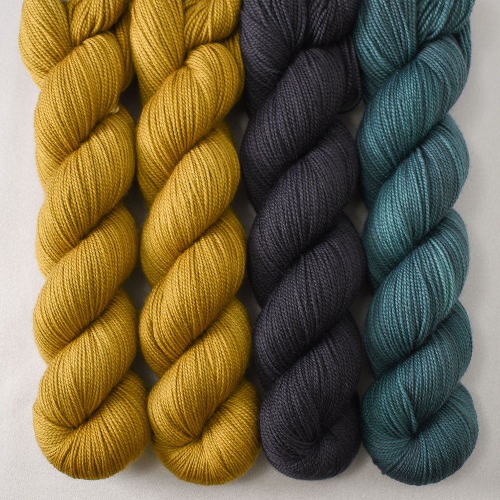 Box Turtle, Kennedia, and Beryl - Miss Babs Photo 51: The DNA Shawl Set
