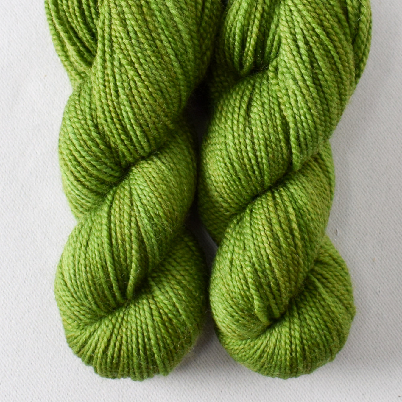 Boxwood - Miss Babs Yummy 2-Ply Toes superwash Merino wool yarn