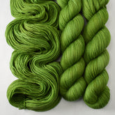 Boxwood - Miss Babs Caroline yarn