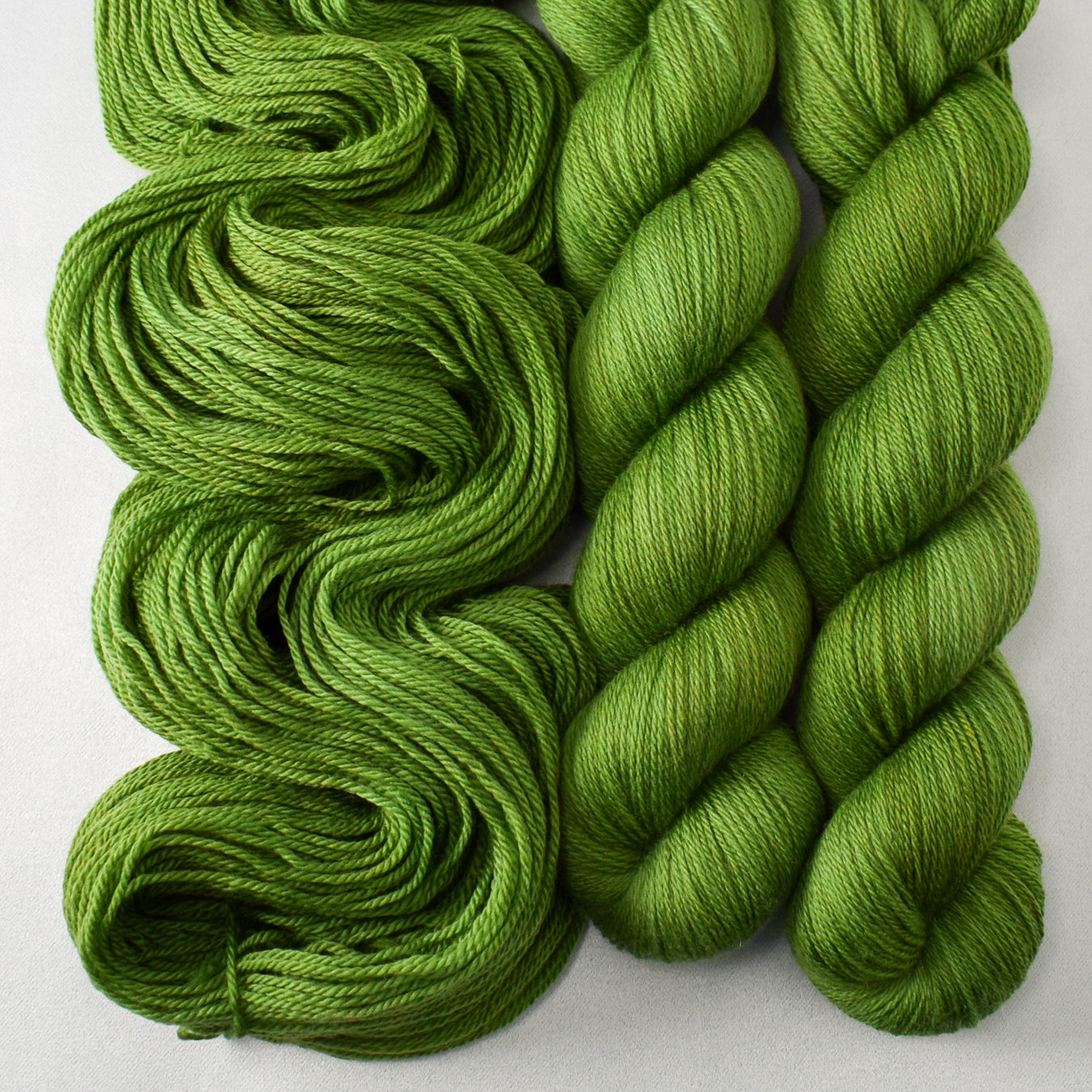 Boxwood - Miss Babs Caroline yarn