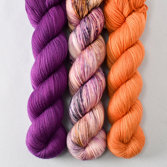Boysenberry, Radiant Cloudscape, and Jaffa Cake - Miss Babs Yummy 2-Ply Trio
