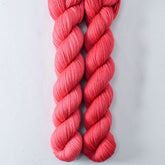 Caribbean Flamingo - Miss Babs Yowza Mini superwash Merino wool yarn