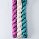 Carmen, White Peppercorn, and Mahi Mahi - Miss Babs Sojourn Trio