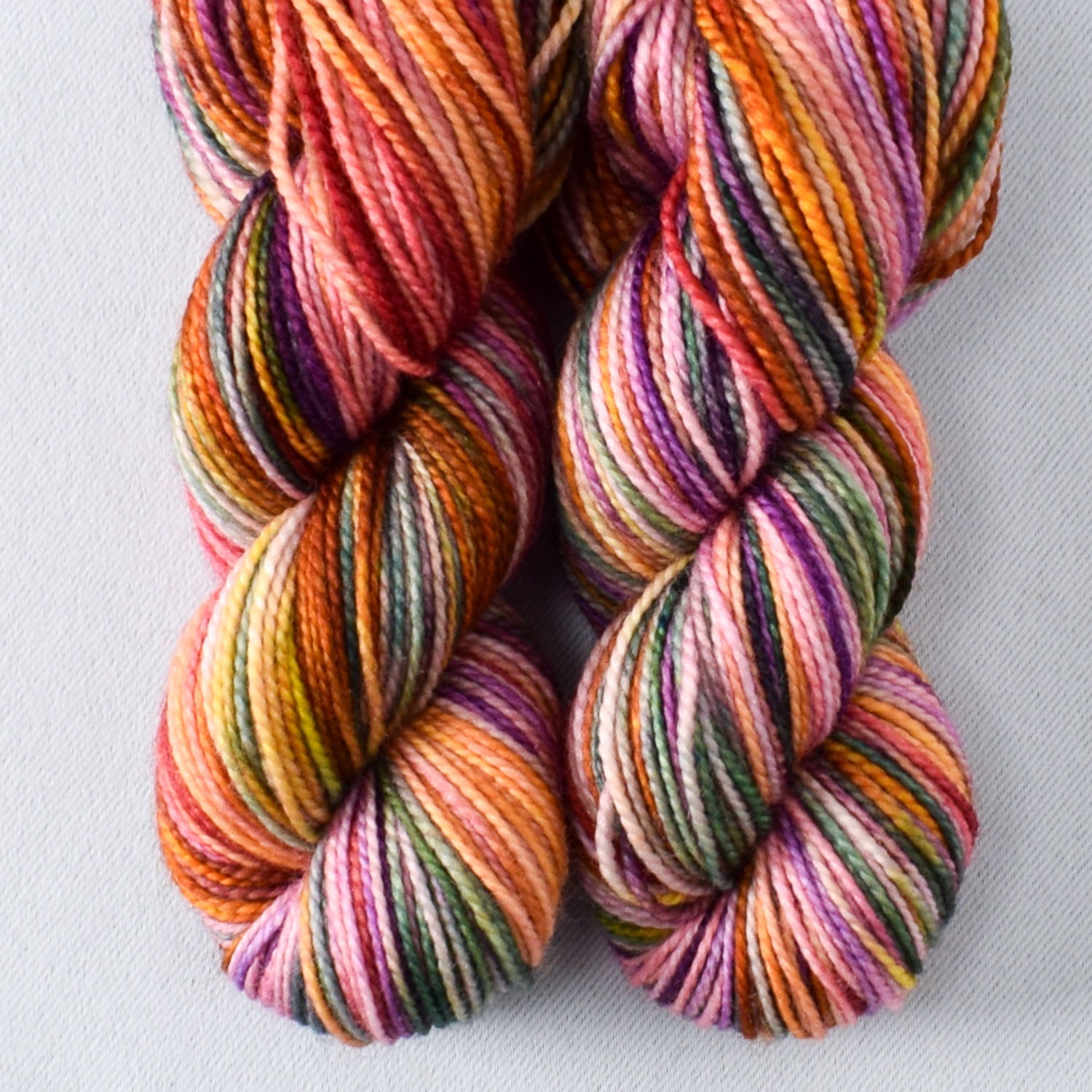 Charmed - Miss Babs Yummy 2-Ply Toes superwash Merino wool yarn