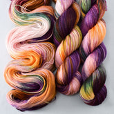 Charmed - Miss Babs Tarte wool blend sock yarn