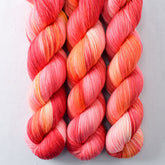 Chasing Dawn - Miss Babs Tarte wool blend sock yarn