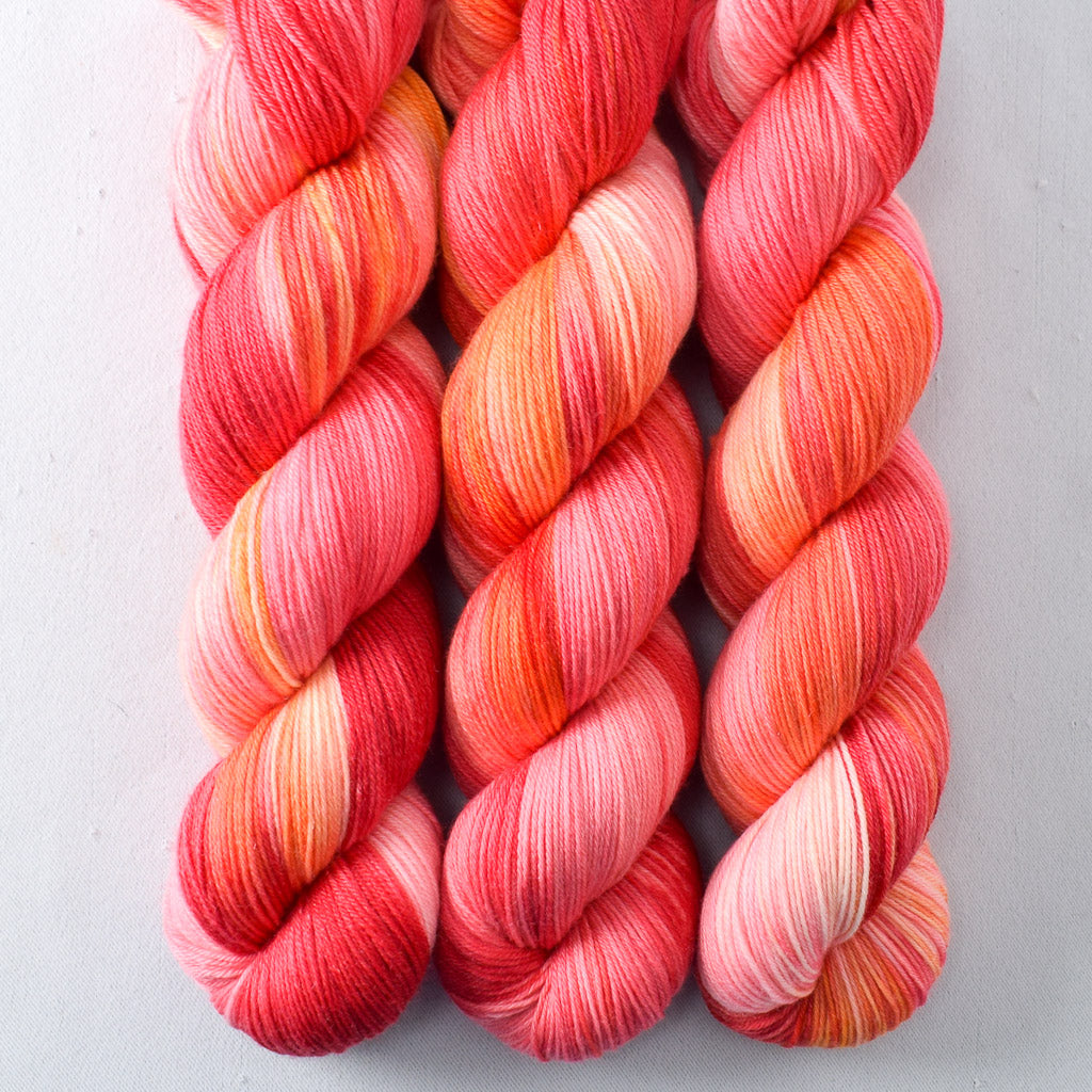 Chasing Dawn - Miss Babs Tarte wool blend sock yarn