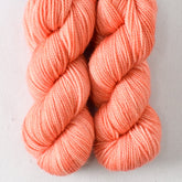 Cherished - Miss Babs Yummy 2-Ply Toes superwash Merino wool yarn