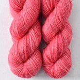 Chilean Flamingo - Miss Babs Yummy 2-Ply Toes superwash Merino wool yarn
