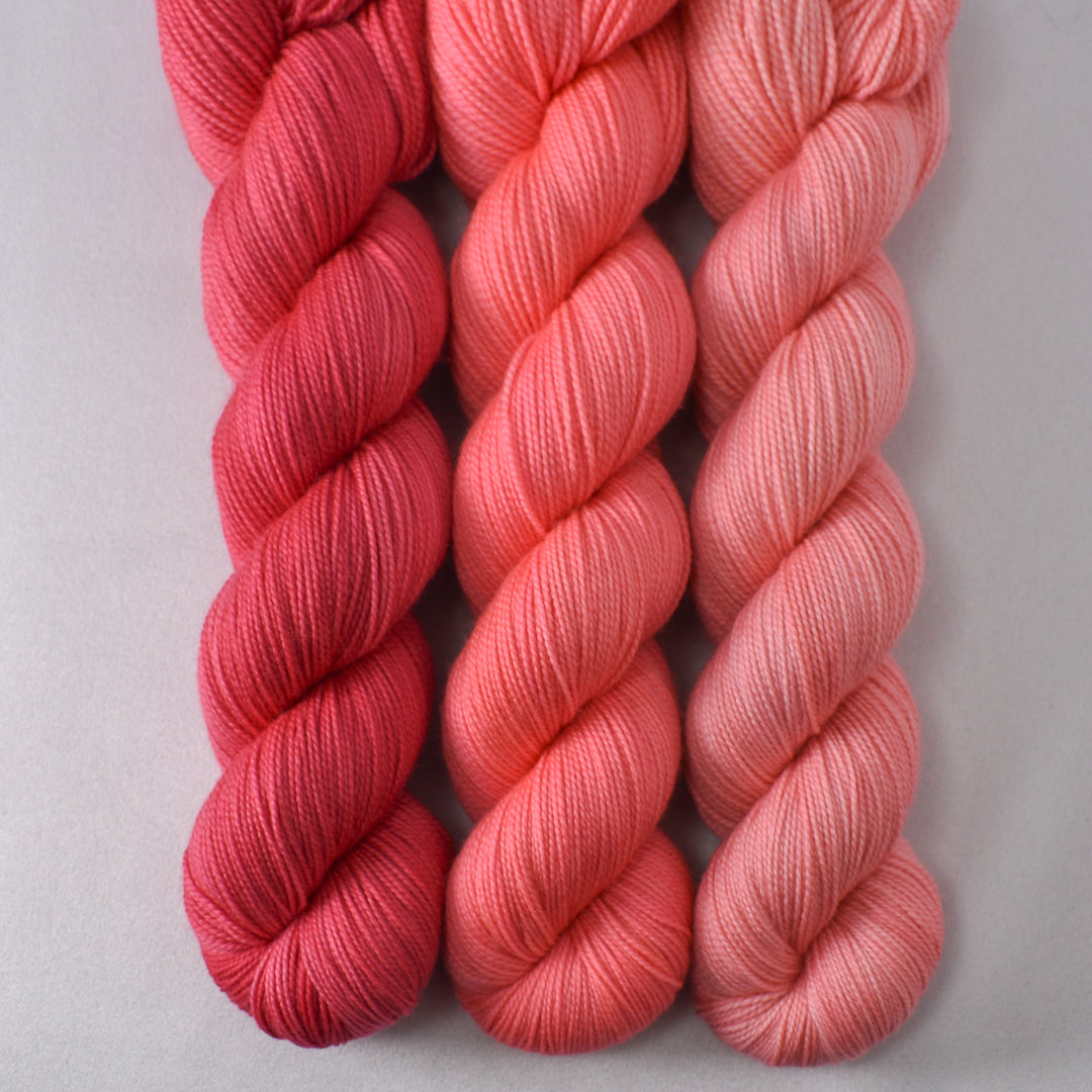 Chilean Flamingo,Dahlia, and Rhodochrosite - Miss Babs Yummy 2-Ply Trio