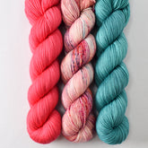 Chilean Flamingo, Material Girl, and Astronomy - Miss Babs Yummy 2-Ply Trio